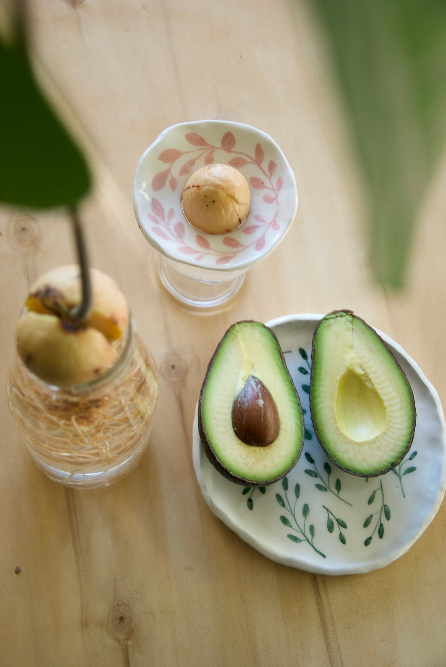 SUPPORTO PER IDROCOLTURA