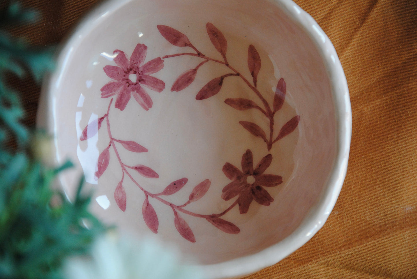 CIOTOLA DA COLAZIONE