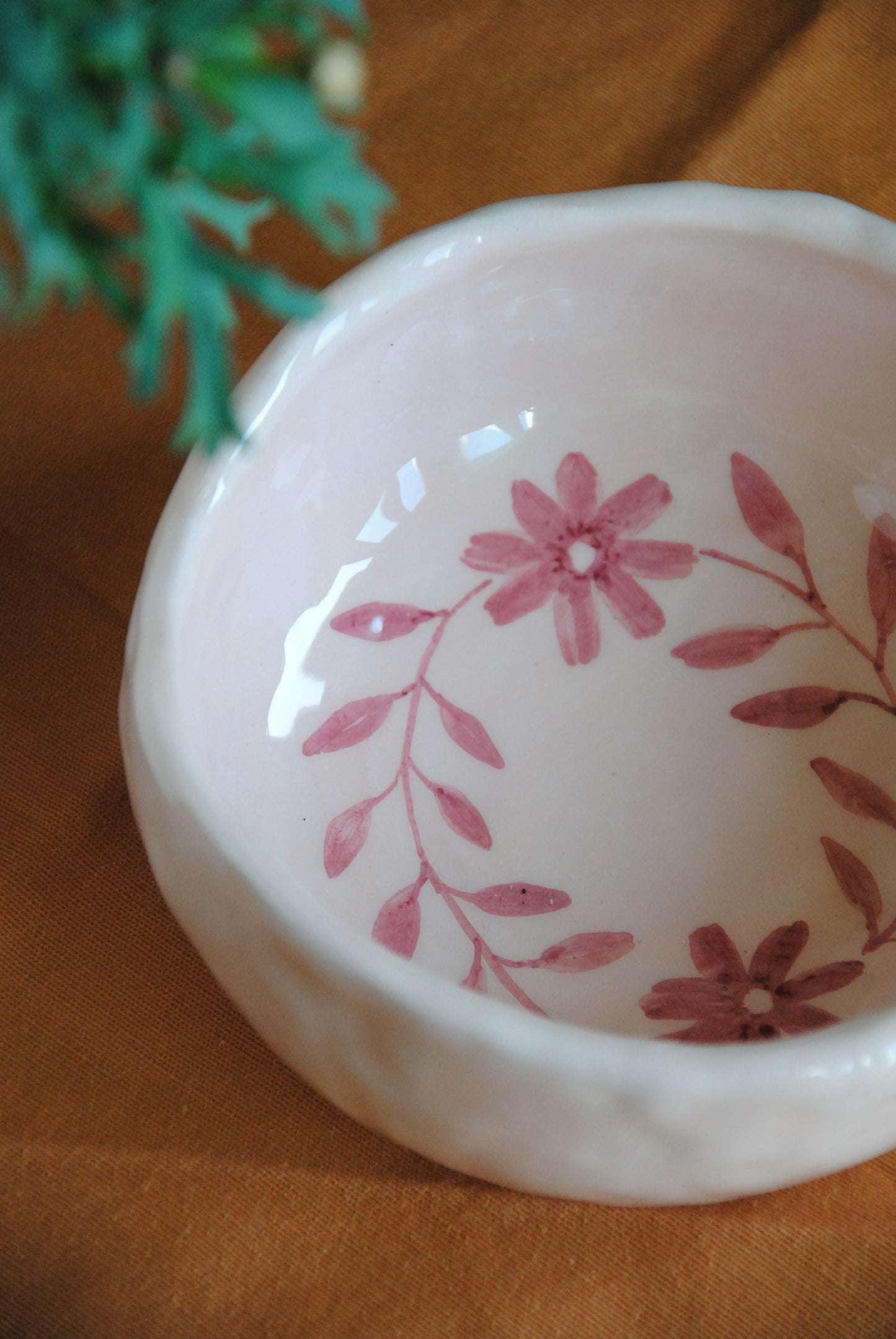 CIOTOLA DA COLAZIONE